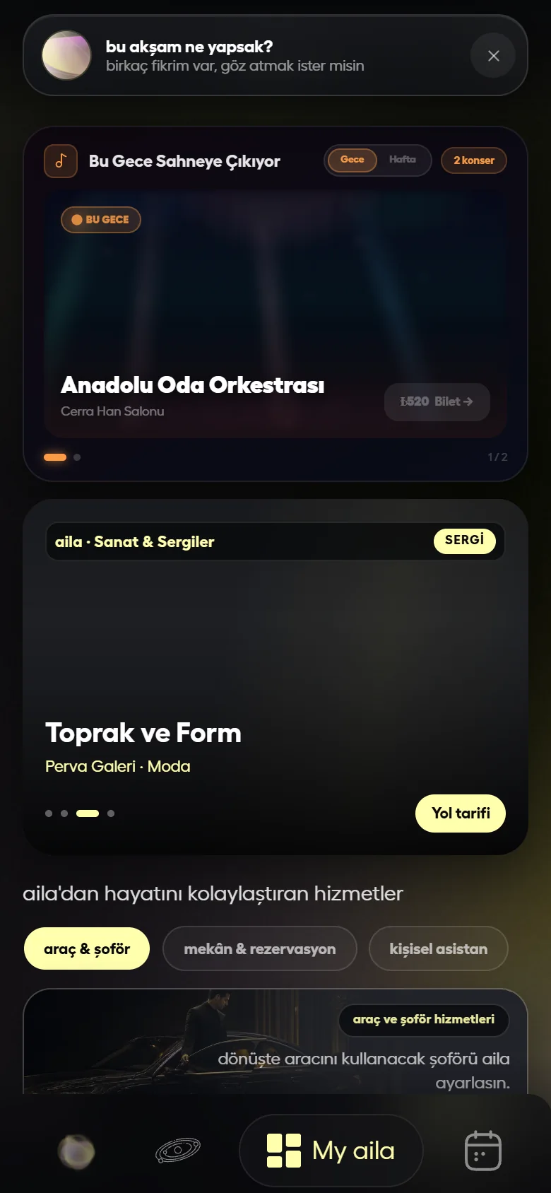 aila etkinlik akışı: konser ve sergi kartları